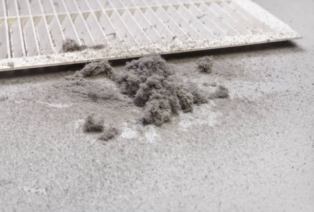 Best Ductwork Cleaning Services  in Underwood Petersville, AL