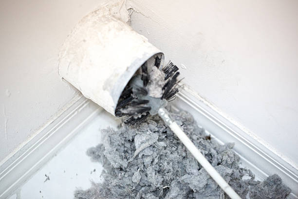 Best HVAC Air Duct Cleaning  in Underwood Petersville, AL